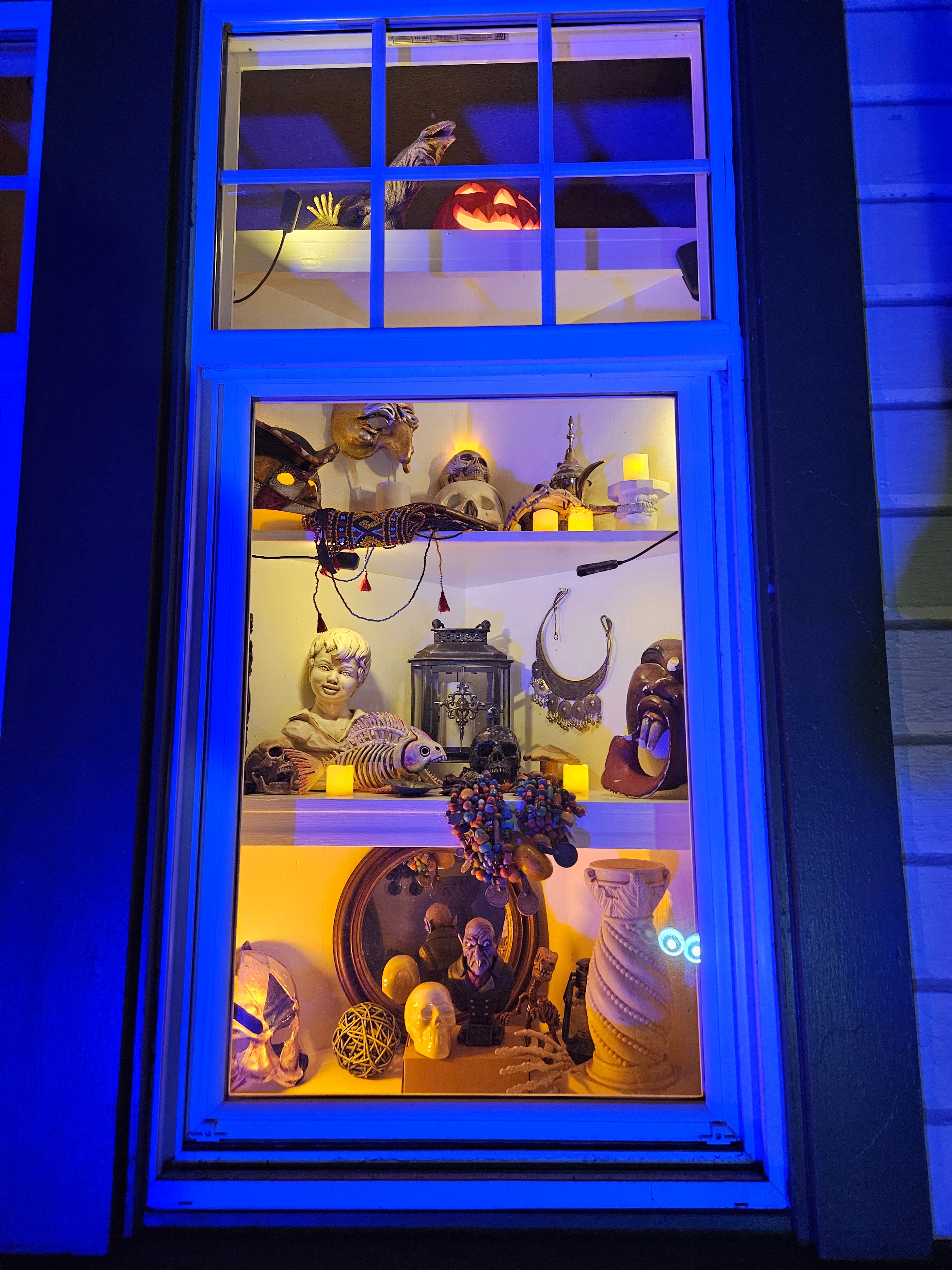 The Olympia Curios and Curiosities Shop display cases glowing amber from within, filled with curiosities — crescent moon pendant, lantern, skeletal fish, oval portrait, carved faces, and a flickering jack-o'-lantern